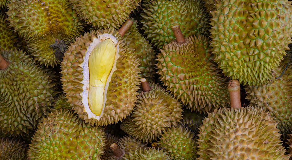 Jak pachnie durian?